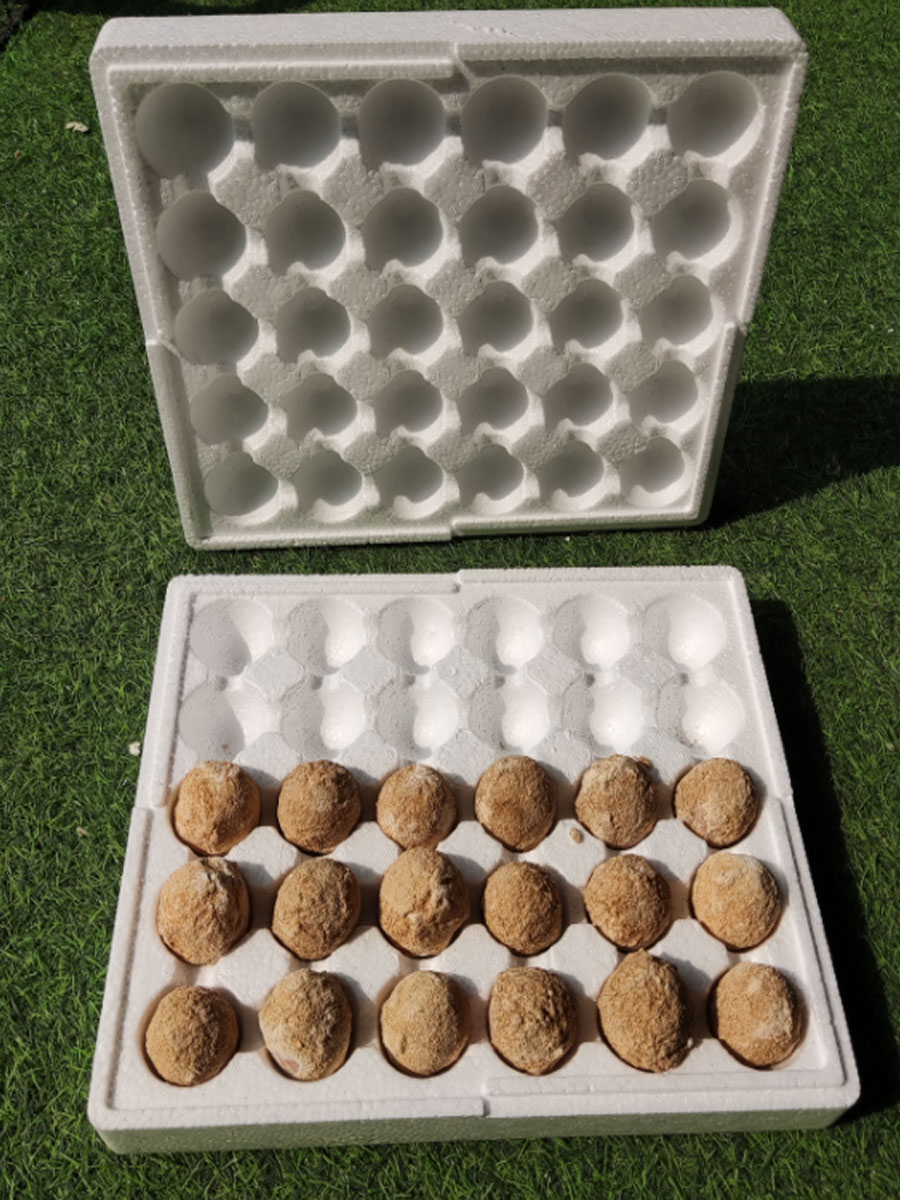 蛋托塑料泡沫防震快递包装：30枚抗压鸭蛋包装盒，河南变蛋的新守护神！