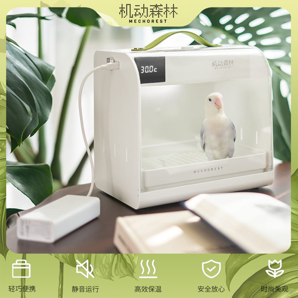 鹦鹉队必备神器：BX-M1便携恒温箱，守护萌鸟安全出行的秘密武器！