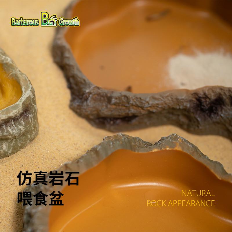 爬宠仿岩石造型食盆水盆：打造自然栖息环境，守护你的爬虫宝贝！