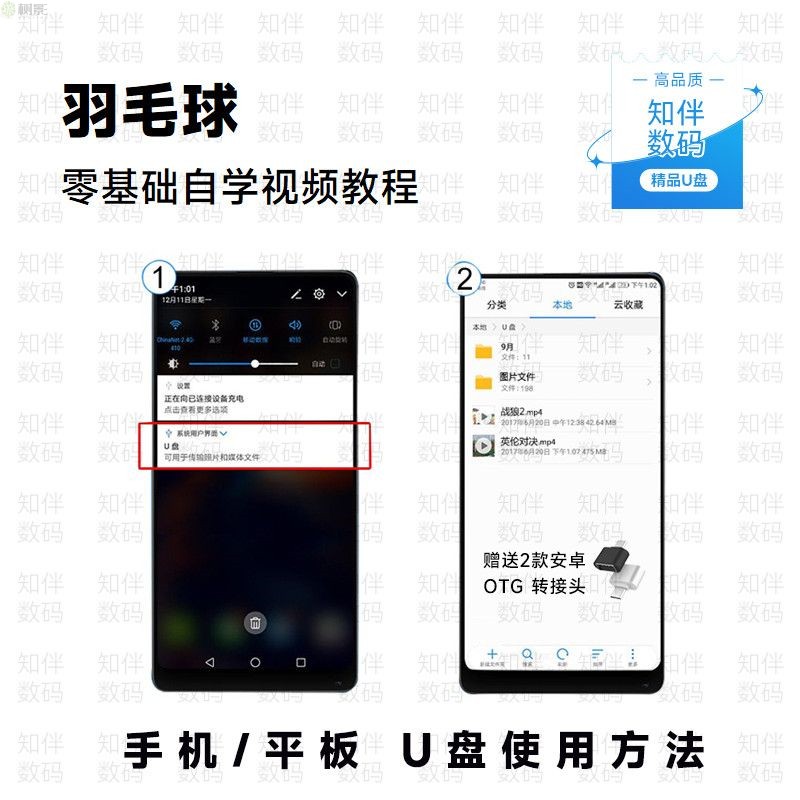 太极高手必备！陈式杨式24式刀剑扇球健身高清全套教学U盘，健身养生两不误！‍♀️武术迷必入！