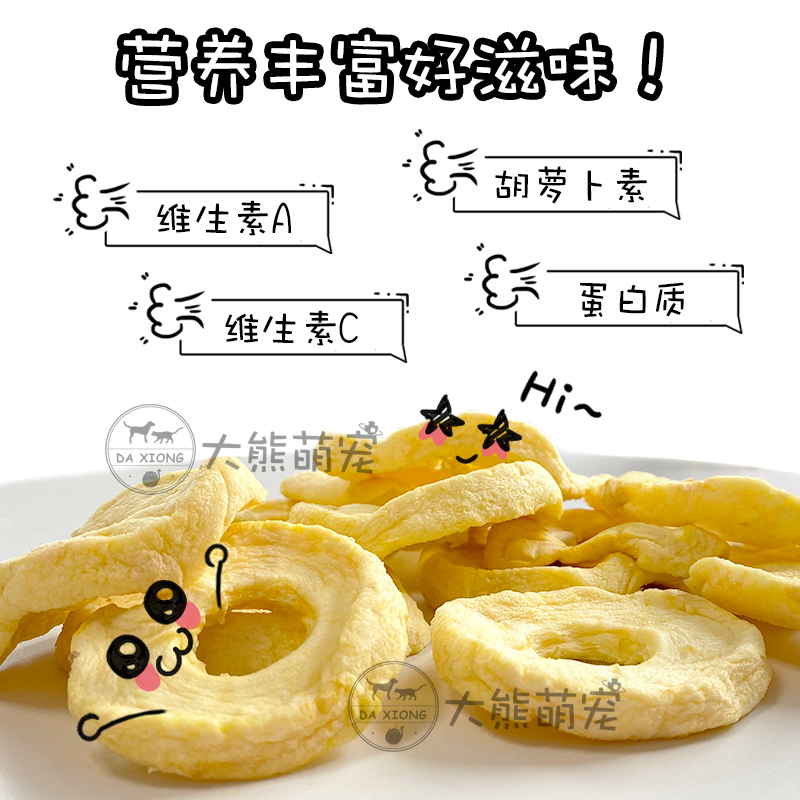 【齐齐龙猫】萌宠新宠，龙猫宝宝来袭！