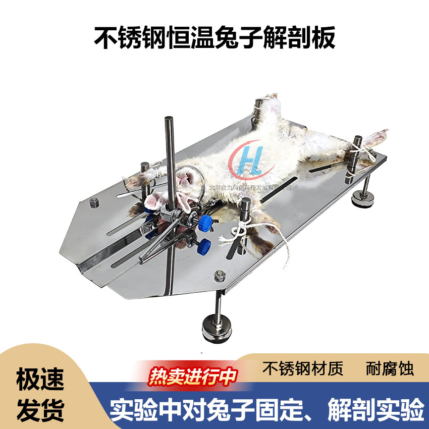定制多功能清洗单摇ST吉他电动护理解剖台手指动物解剖处置39寸包：解剖台界的革命性产品！