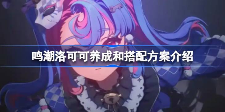 鸣潮洛可可该怎么进行养成和搭配 鸣潮洛可可养成和搭配方案介绍