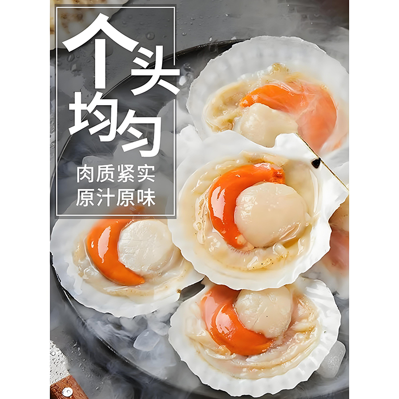 冷冻半壳虾夷贝&amp;特大喜福多扇贝：解锁海鲜盛宴的秘密武器！