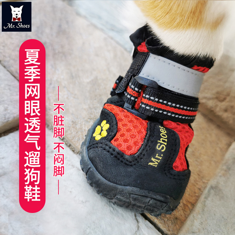 2024年宠物鞋子爆款推荐！狗狗穿它出门秒变时尚小明星✨