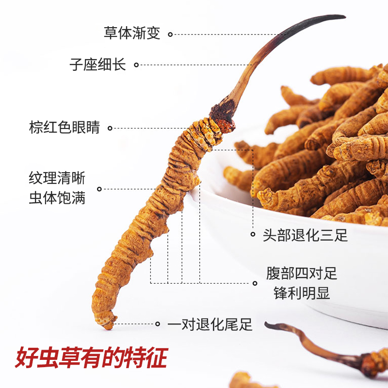 雷允上冬虫夏草：尊贵礼盒，送礼自用两相宜！