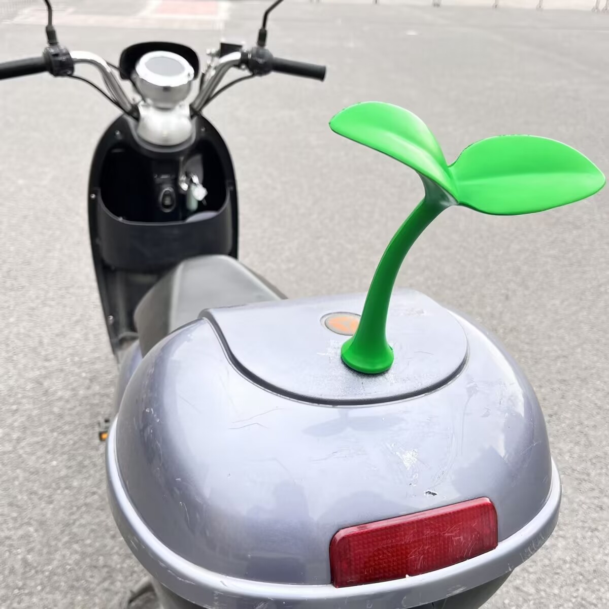车载创意搞笑小树苗：给你的爱车添点绿，开车也能变森林探险！