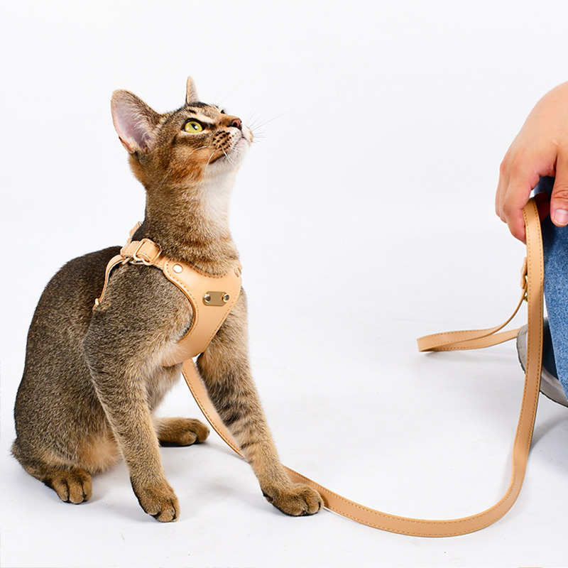 猫咪牵引绳&amp;背心式皮质小型犬胸背带：泰迪比熊宠物缅因布偶的帅气神器！