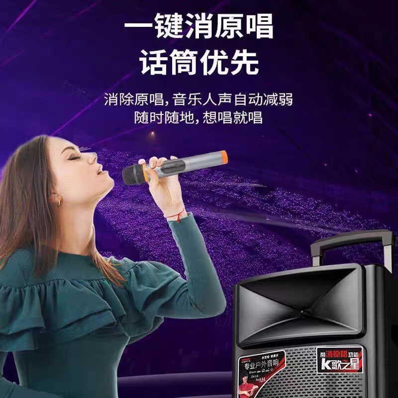 特美声8寸12寸15寸广场舞音响，户外K歌神器，音质爆棚！