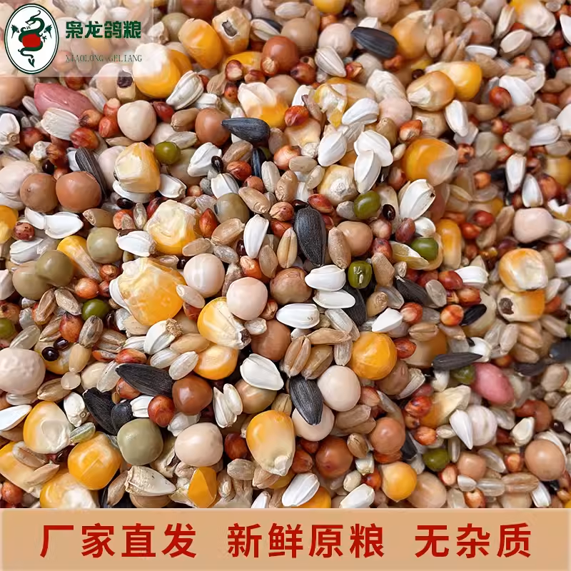 枭龙鸽粮：赛鸽的营养盛宴，50斤大礼包免费送到家！