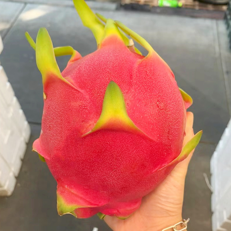 红心火龙果和白心火龙果到底有什么区别？