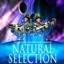 Natural Selection1.01