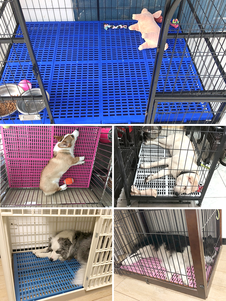 宠物小鸡鸭笼子专用脚垫：芦丁鸡鹅柯尔鸭的终极防卡夹脚神器！