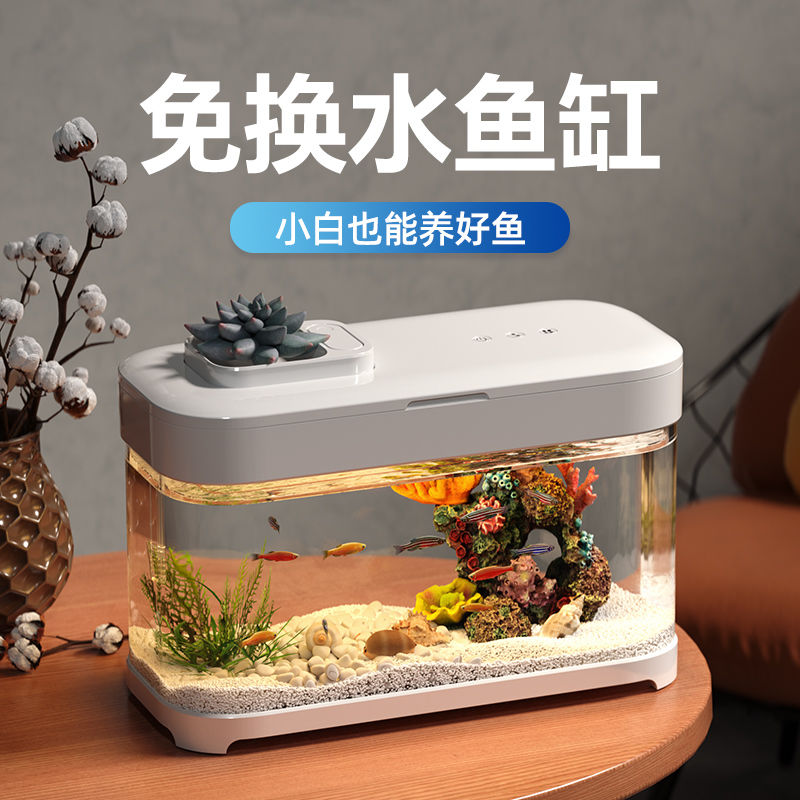 懒人鱼缸免换水2024新款：让你轻松拥有桌面迷你海洋！✨