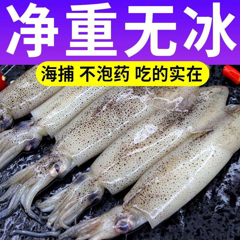 新鲜带籽大笔管鱼&amp;小海兔子：海鲜界的宝藏，冷冻也能锁住鲜美！