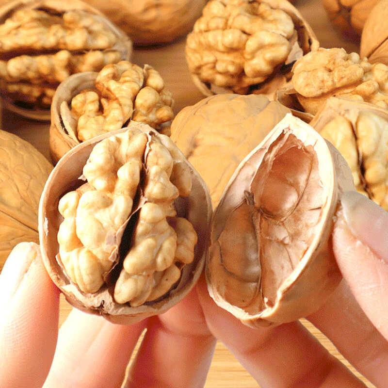 2025新疆特产达坂城昆仑雪菊，直发乌鲁木齐，尝鲜必备！