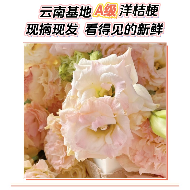 花秘优选：洋桔梗混搭，昆明直发，顺丰冷链，给你最美的鲜花体验