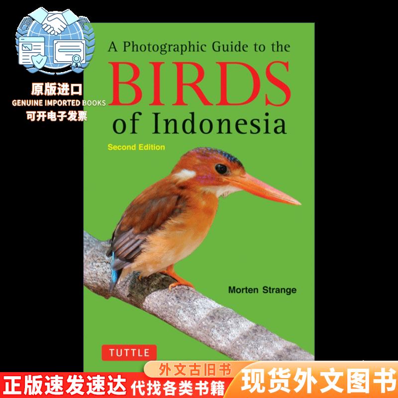 图解语法：英文原版《The Infographic Guide to Grammar》——语法学习的新方式！