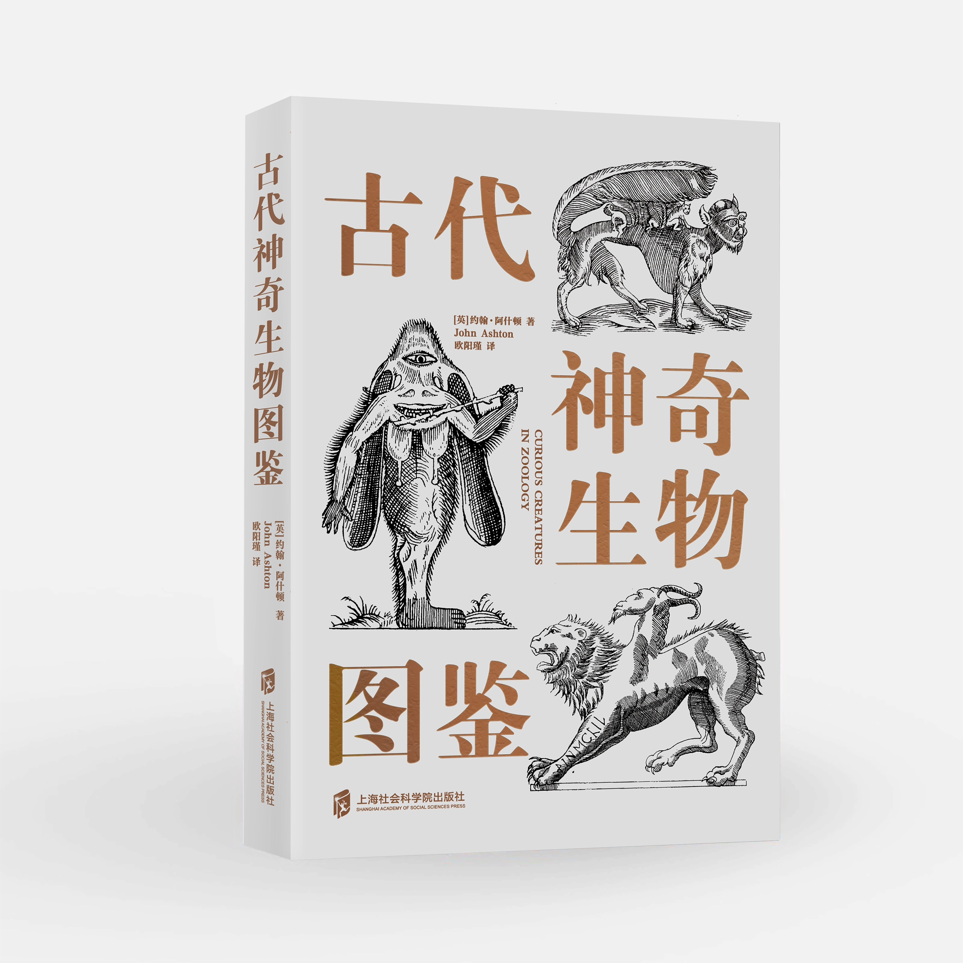 LTR编外牌无边框和异画铁离别众人0445：收藏家心中的圣杯，揭开神秘面纱