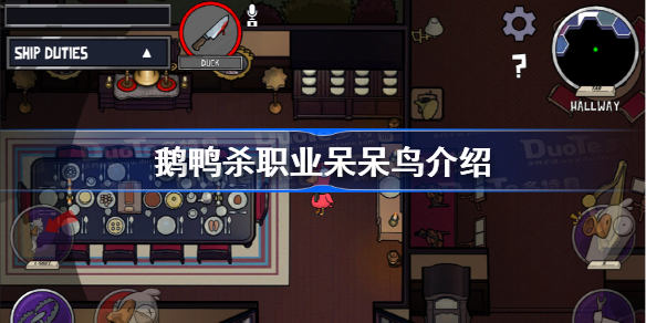 鹅鸭杀职业呆呆鸟介绍 鹅鸭杀呆呆鸟技能是什么