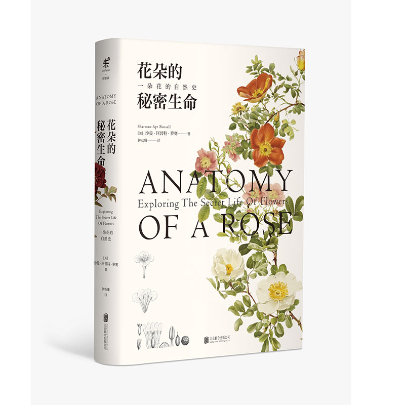 自然灾害与环境污染：科普新视角，守护地球家园✨