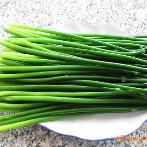 有机蒜苔3斤新鲜上市，健康美味无农残，有机码可溯源！