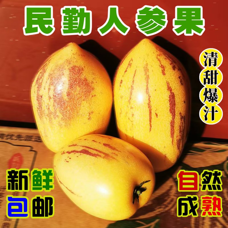 顺丰直送！甘肃民勤沙漠绿洲的人参果，甜而不腻的黄金果实，你吃过吗？