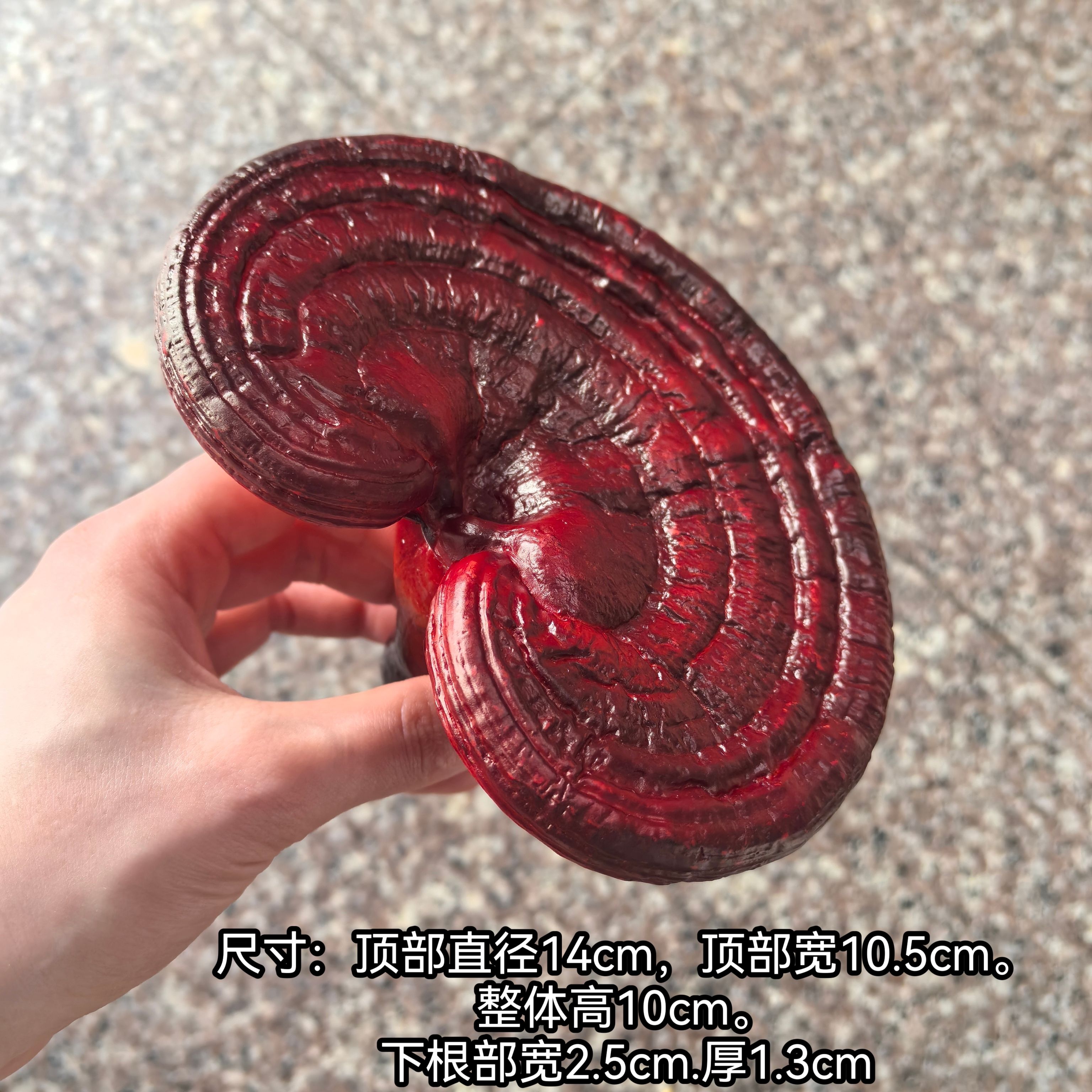 仿真灵芝模型：中药材展示新风尚，森林道具装饰品引领潮流