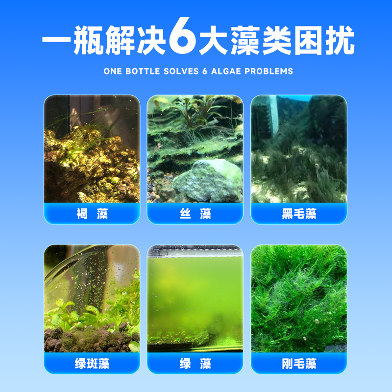 鱼缸水质净化剂哪个牌子好用？养鱼人必看的种草指南！
