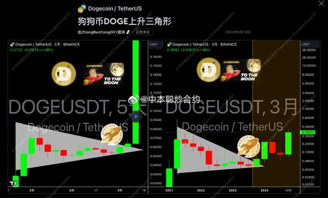 Understanding the Difference Between Dogecoin USD and Dogecoin USDT