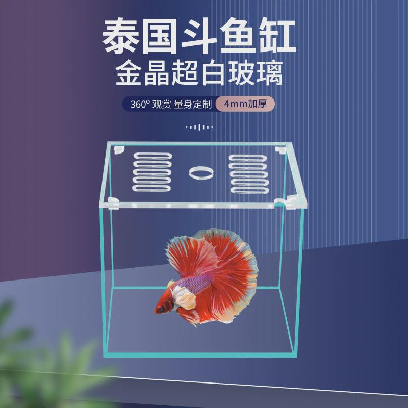 超有料！斗鱼直播Ted直播间，揭秘网红主播背后的日常！‍