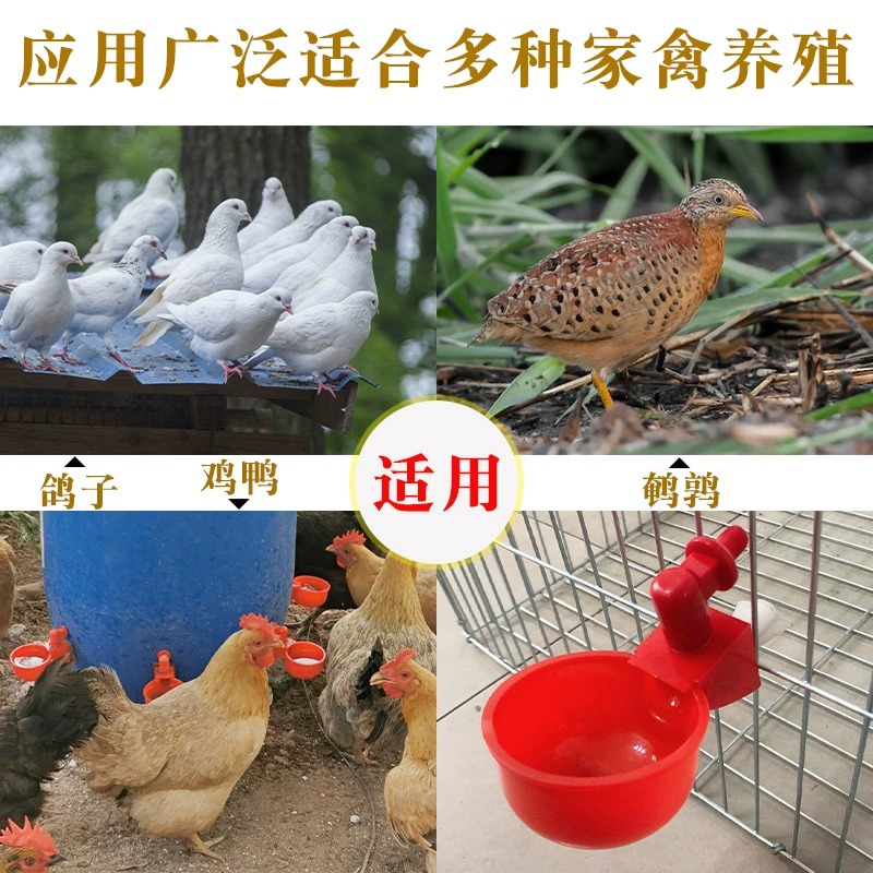 自动断喙神器，养鸡必备！家禽养殖轻松搞定！