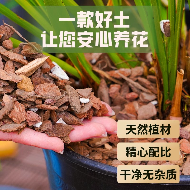 兰谱奥法：揭秘中国兰花古籍中的栽培秘籍，新手必看的兰花养护全攻略！