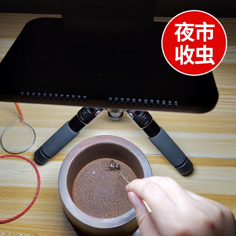 虫友必备！蛐蛐蟋蟀拍照灯补光灯，捕捉夜色中的微光精灵！✨