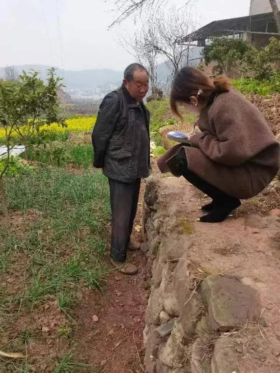 知府大人模拟,知府大人巡视辖区，关注民生发展