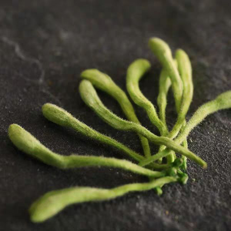 古籍珍藏：王汝梅&middot;格非签名钤印，港版《金瓶梅版本史》+《雪隐鹭鸶》独家揭秘✨