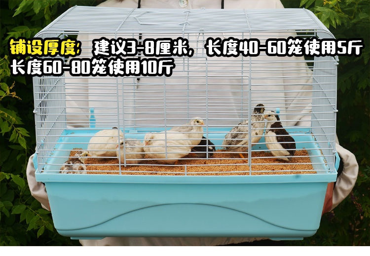 去尘除臭核桃砂芦丁鸡垫料无粉尘发酵菌床：宠物清洁新革命，告别脏乱差！