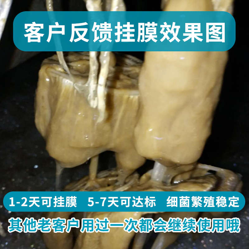 污水处理菌种活性污泥生化池AO氧化沟：高效去除COD、总氮、总磷的培菌秘籍！