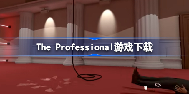 The Professional游戏下载 the professional在哪玩