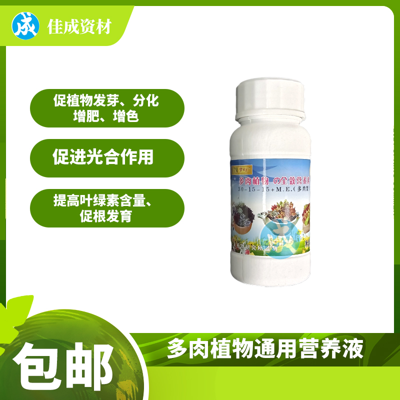 卡罗拉锐放先锋版：揭秘四缸魅力，是动力之选吗？