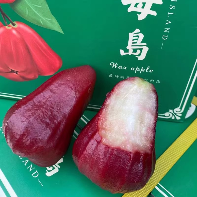 现货精品蜜风铃莲雾5斤整箱，孕妇也能安心吃的时令新鲜水果！