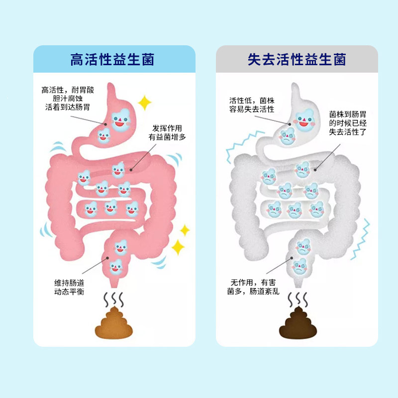 大叔小宠益生菌：宠物兔荷兰猪胀气软秘福音，告别葡萄便拉稀！