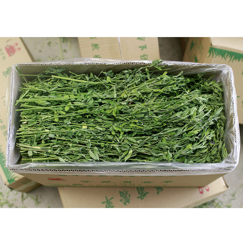 哪种干草最适合我的新宠物？新宠物兔子紫花苜蓿草荷兰猪粮食2026年推荐