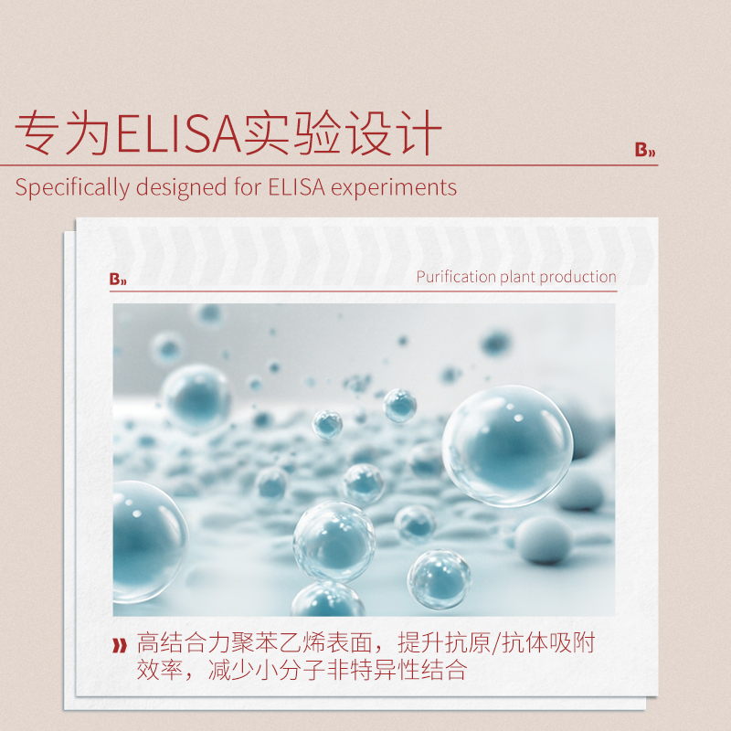 柏美特WD14酶标板：科研实验中的隐形英雄