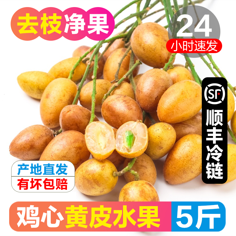 广西鸡心黄皮果：孕妇专属的酸甜美味，5斤整箱顺丰直达！