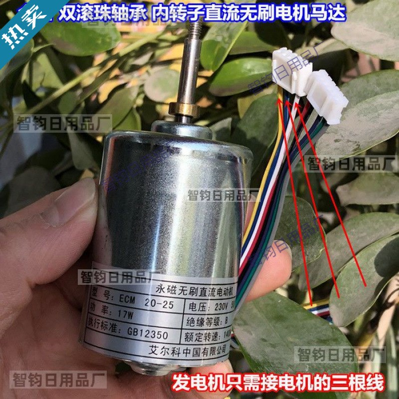 220V双轴承静音内转子直流高压电机马达：解锁高效动力的秘密武器