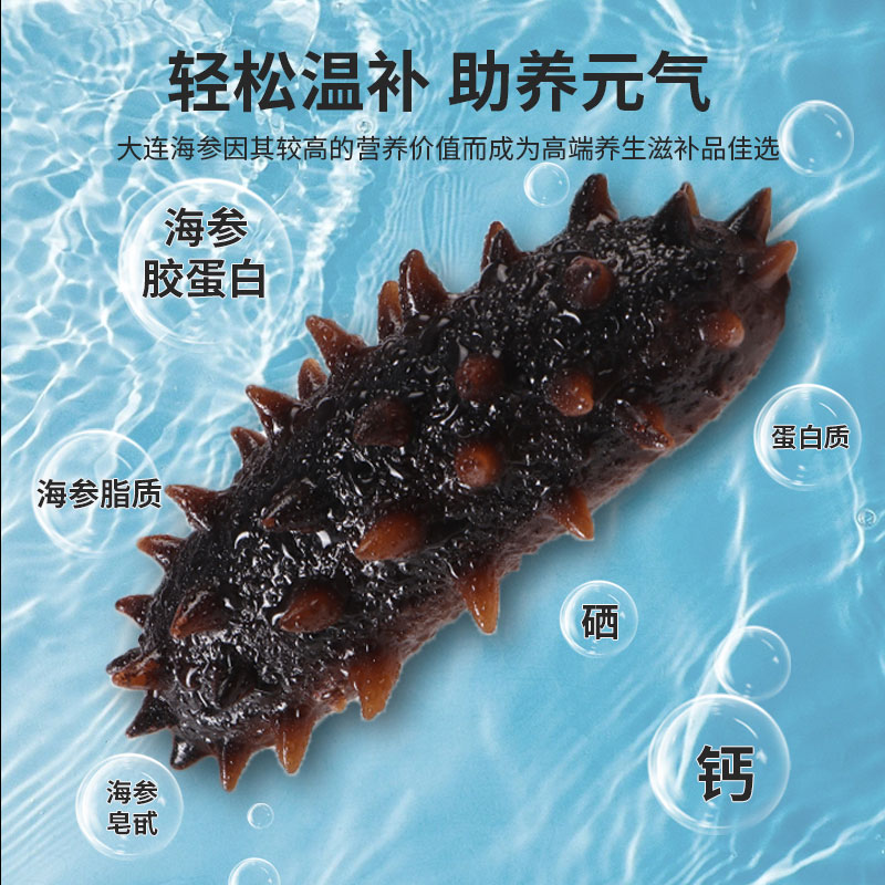 仲秋海参：秋季滋补新宠，鲜活海参500g官方淡干货，开启养生新纪元！