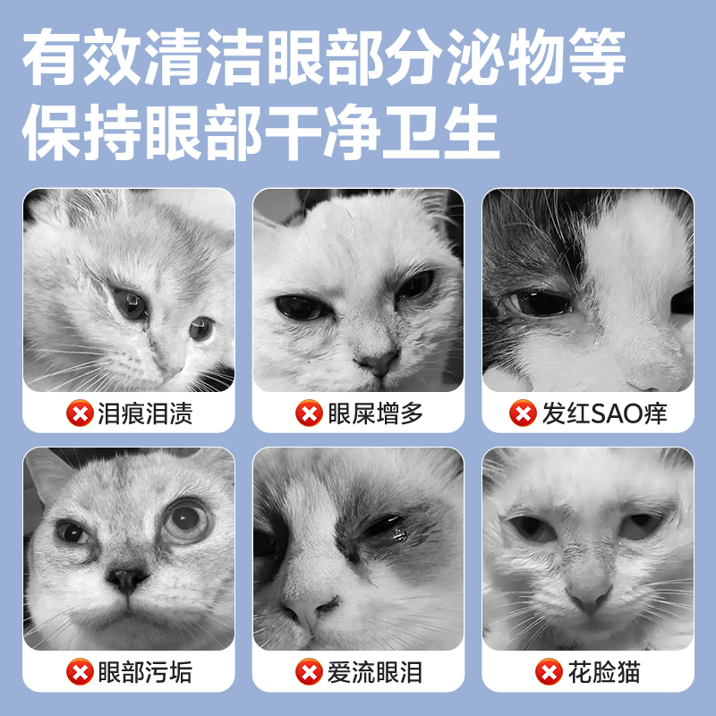 宠物便携急救应急包：猫咪狗狗外出必备神器，紧急救援不慌张!