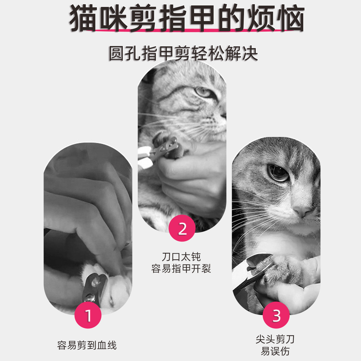 法国维克素齿洁洁齿片：狗狗磨牙神器，囤货必备！