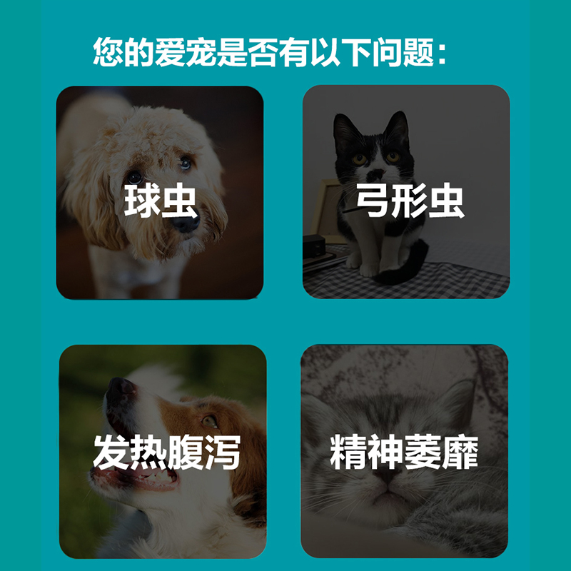 瑞沃特弓球双迪宠物驱虫药：守护毛孩子健康的神奇小球虫！